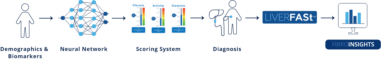liverfast workflow