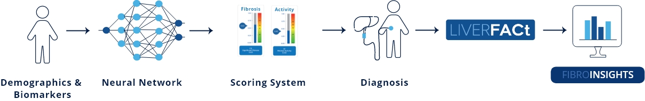 liverfact workflow