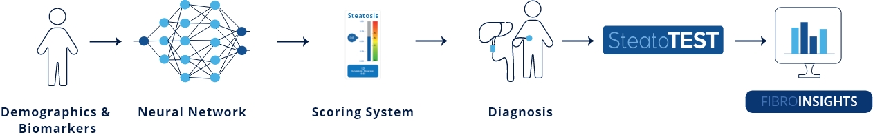 steatotest workflow