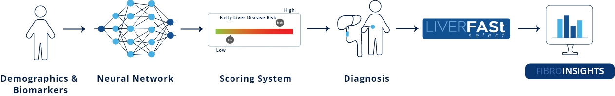 liverfast workflow