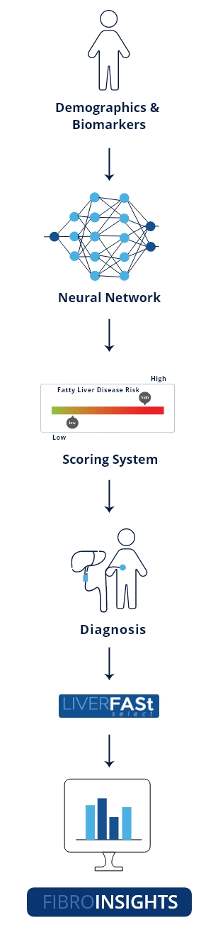 liverfast workflow