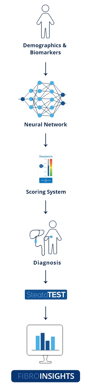 steatotest workflow
