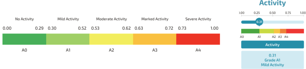 activity score chart
