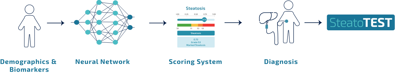 steatotest workflow