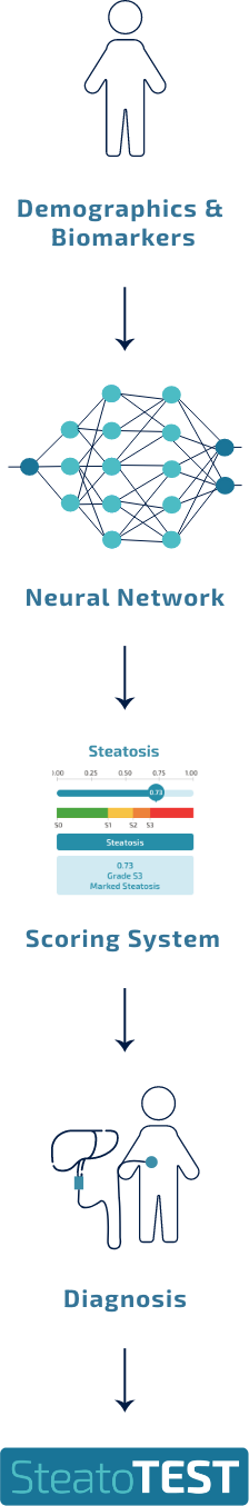 steatotest workflow